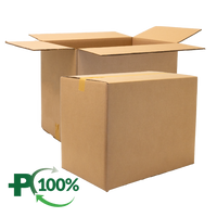 Double Wall Cardboard Box, Plain, 0201