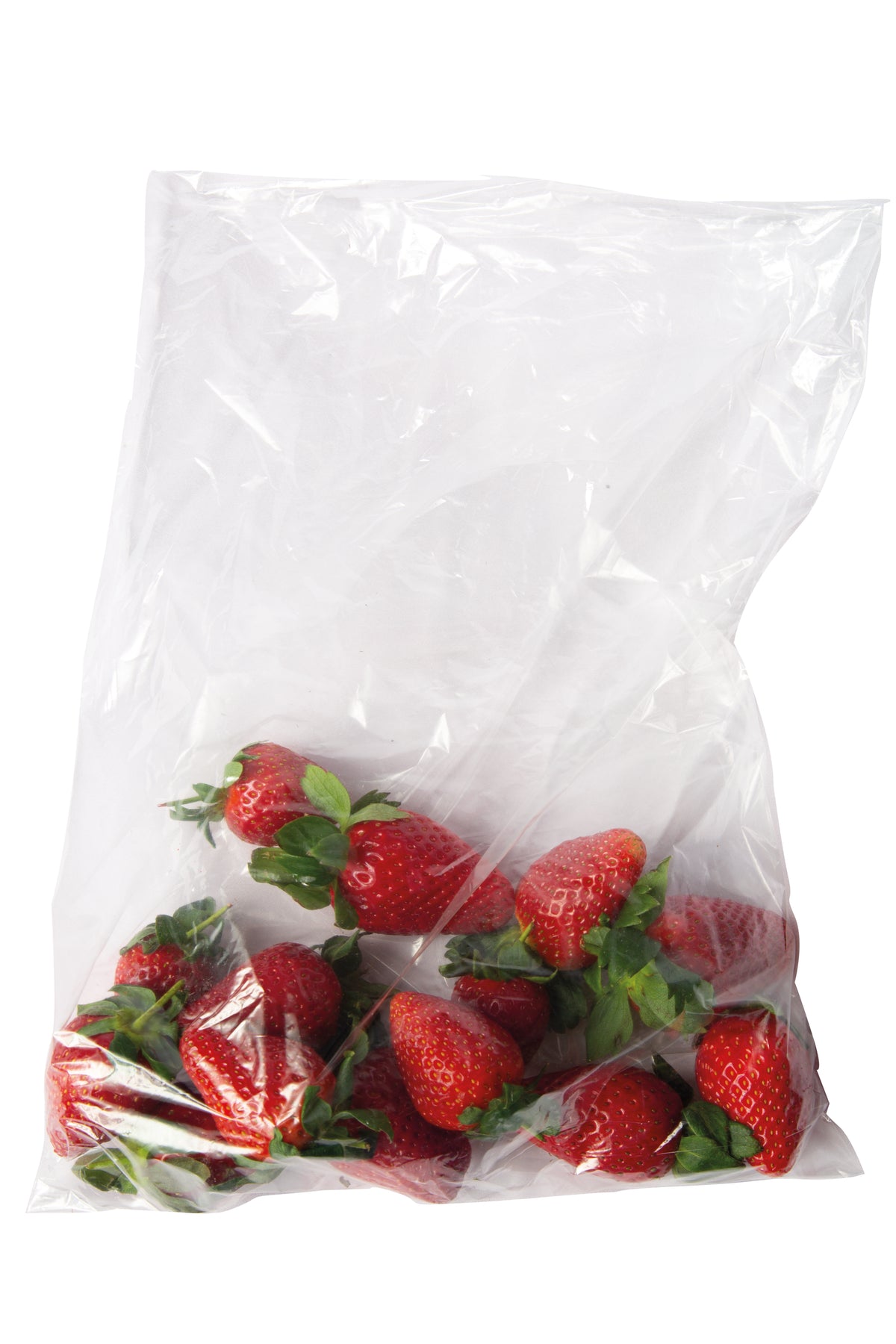 Clear Polythene Bag, Food Grade, Random Perf, 250g