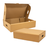 DW Carton, Plain Diecut