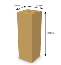 SW Plain 0203 Carton