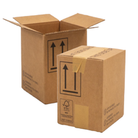 UN Approved Box - 4GV6THP
