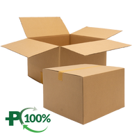 SW Carton Vari Depth @ 50 & 100mm From Top