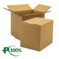 Double Wall Cardboard Box, Plain, 0201