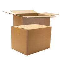 Double Wall Cardboard Box, Plain, 0201