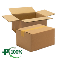 Double Wall Cardboard Box, Plain, 0201