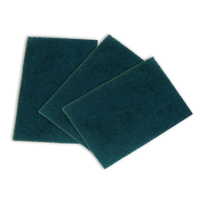 Scouring Pad (10 Pack)