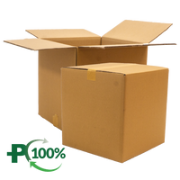 Double Wall Cardboard Box, Plain, 0201