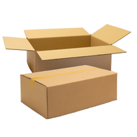 Double Wall Cardboard Box, Plain, 0201
