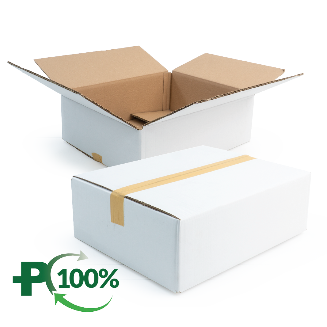 Double Wall White Cardboard Box, Plain, 0201