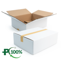 Double Wall White Cardboard Box, Plain, 0201