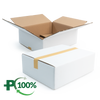 Double Wall Cardboard Box, White, 0201