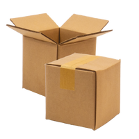 Double Wall Cardboard Box, Plain, 0201