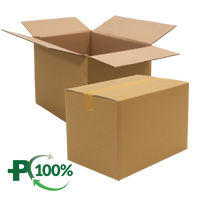 Double Wall Cardboard Box, Plain, 0201