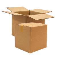 Double Wall Cardboard Box, Plain, 0201