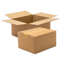 Single Wall Cardboard Box, Plain, 0201