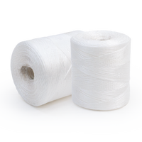Polypropylene Twine
