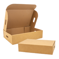 Single Wall Carton Plain with Handholes