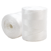 Polypropylene Twine