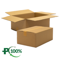Double Wall Cardboard Box, Plain, 0201