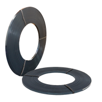 Ribbon Wound Steel Strap 16.5kg
