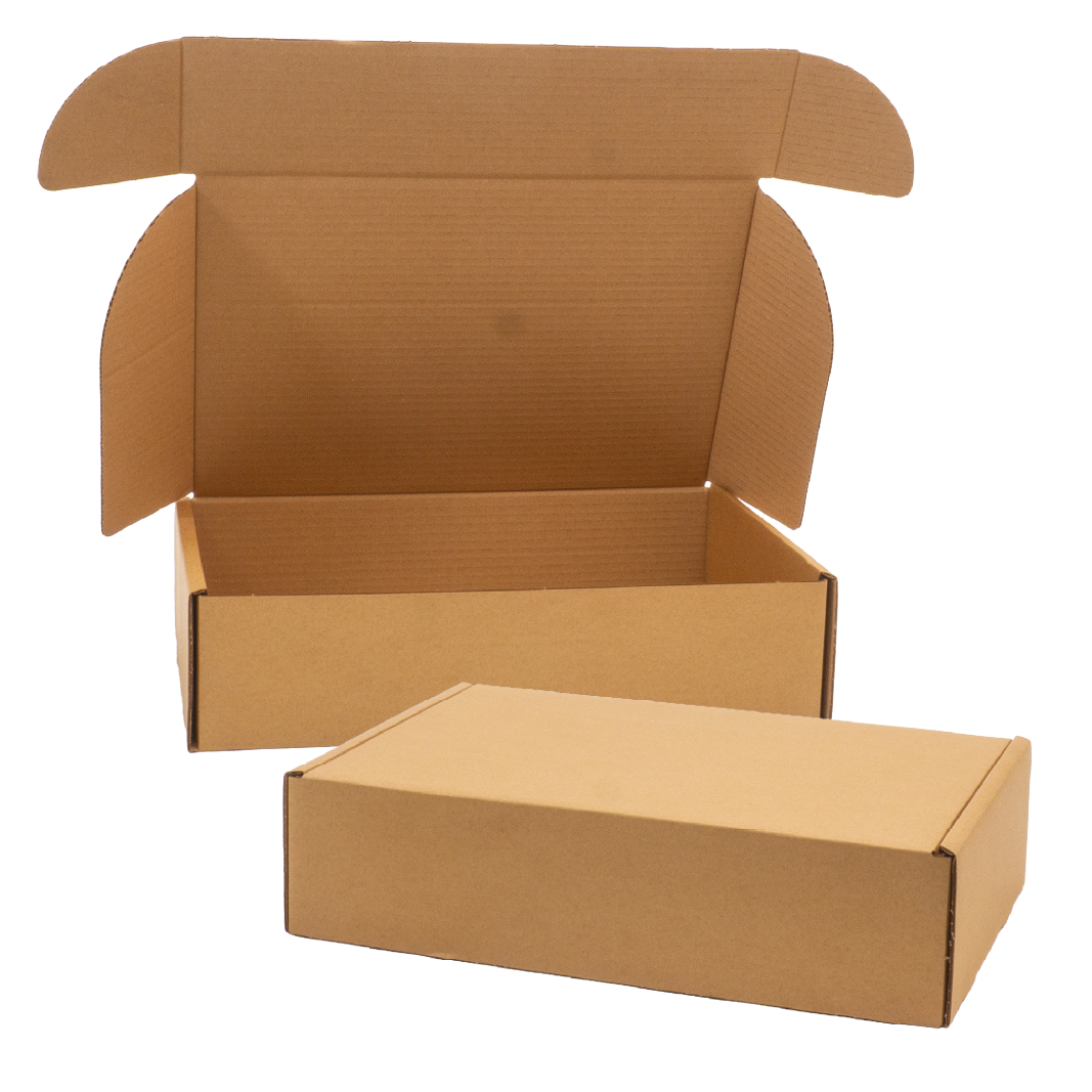 SW 0427 Carton, Plain