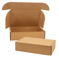 SW 0427 Carton, Plain