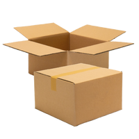 Double Wall Cardboard Box, Plain, 0201