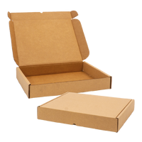 SW Carton, Plain, 0427 Style