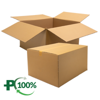 Double Wall Cardboard Box, Plain, 0201