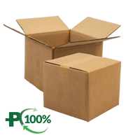 Double Wall Cardboard Box, Plain, 0201