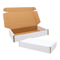 0427 White, Double Wall Plain Carton
