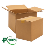 Double Wall Cardboard Box, Plain, 0201